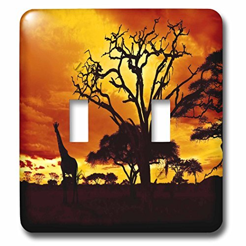 3dRose lsp_173293_2 African Giraffe on African Plains At Sunset, Animal Safari Africa Light Switch Cover
